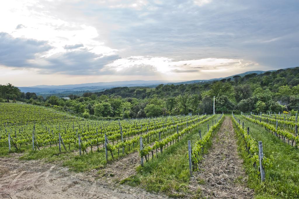 Alloggio per agriturismo Oliviera